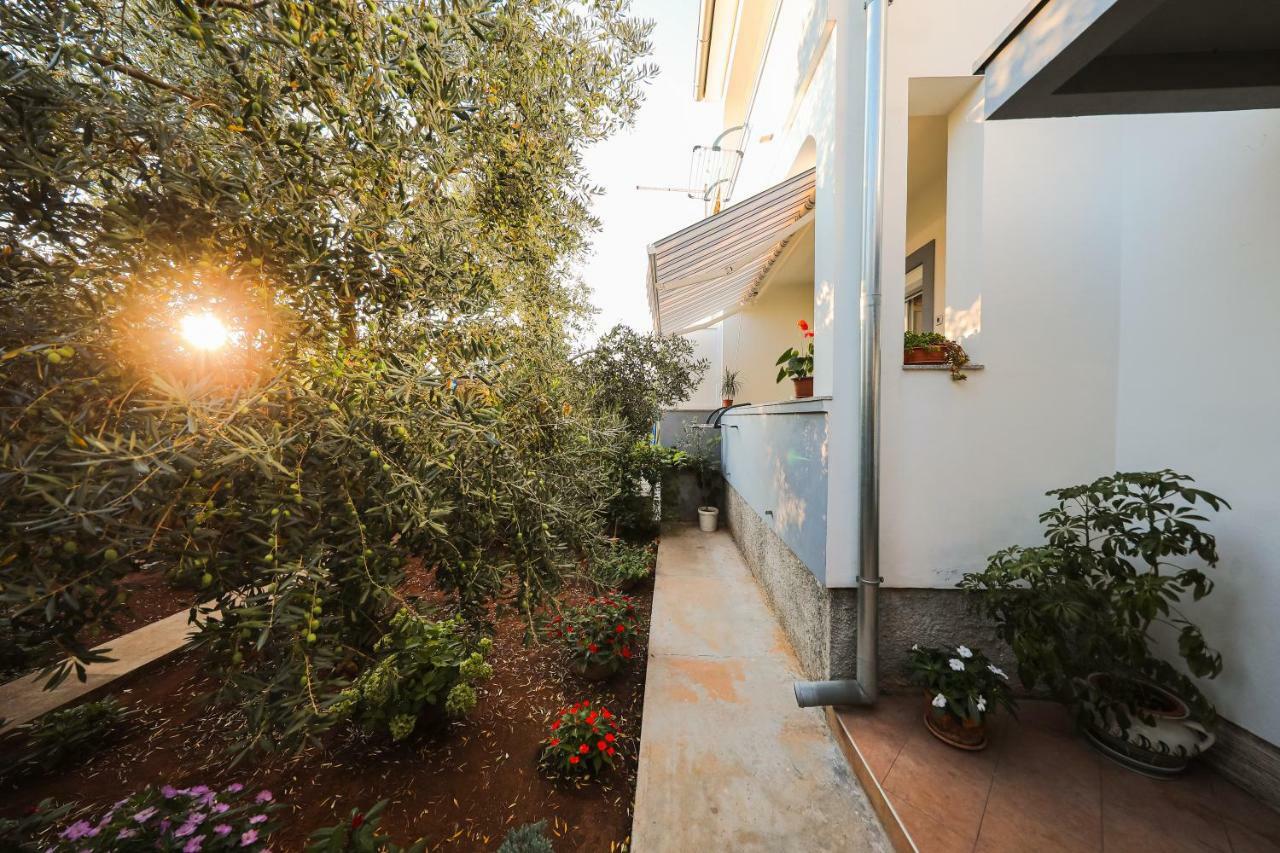 Apartman Antisin ซาดาร์ ภายนอก รูปภาพ